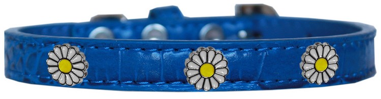 White Daisy Widget Croc Dog Collar Blue Size 10